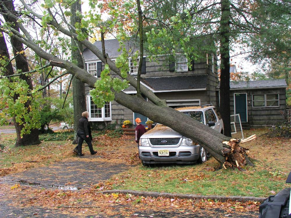 Disaster Operations 8